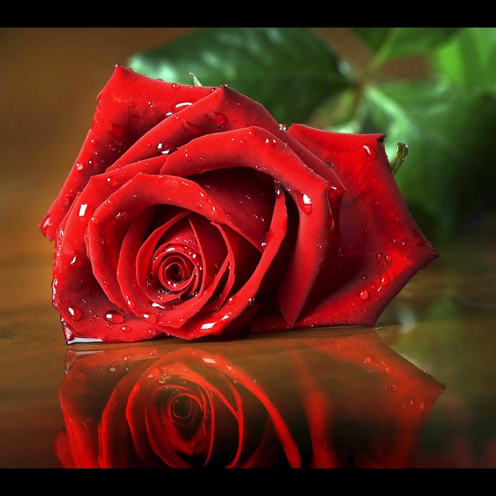 Meet your Posher, Philicia